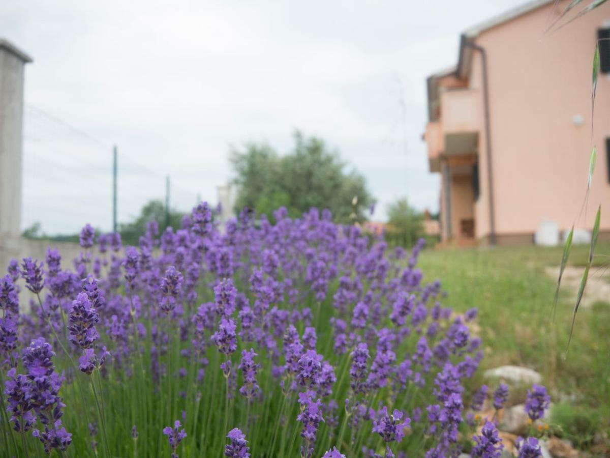 Apartment Lavandula Labin  Eksteriør bilde